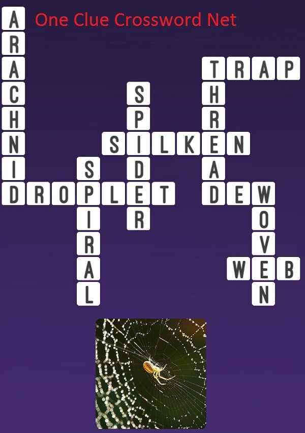Spider - One Clue Crossword Cheats
