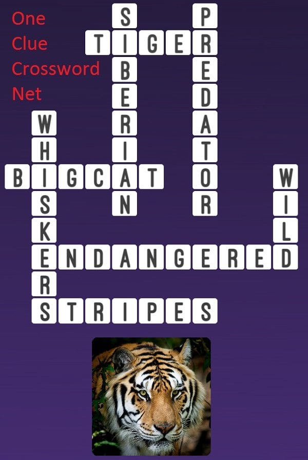 Tiger One Clue Crossword Cheats