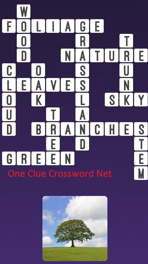 tree trunk crossword clue 4 letters 5 letters