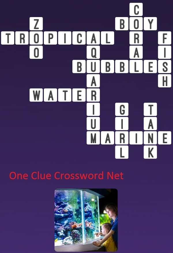 One Clue Crossword Aquarium Answer