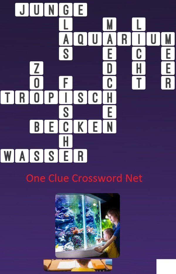 One Clue Crossword Aquarium Antworten