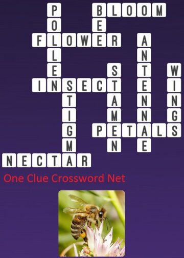 Bee Get Answers for One Clue Crossword Now