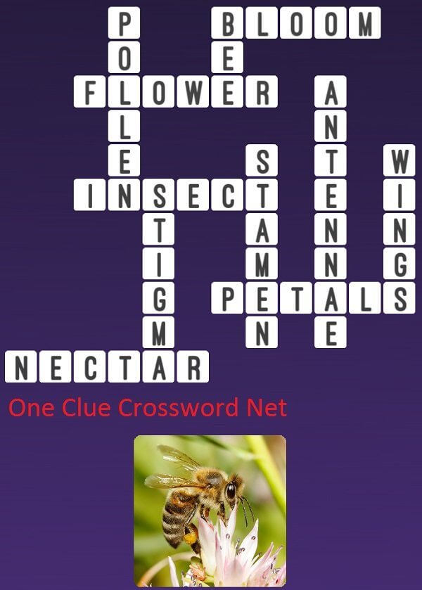 Jungle - One Clue Crossword
