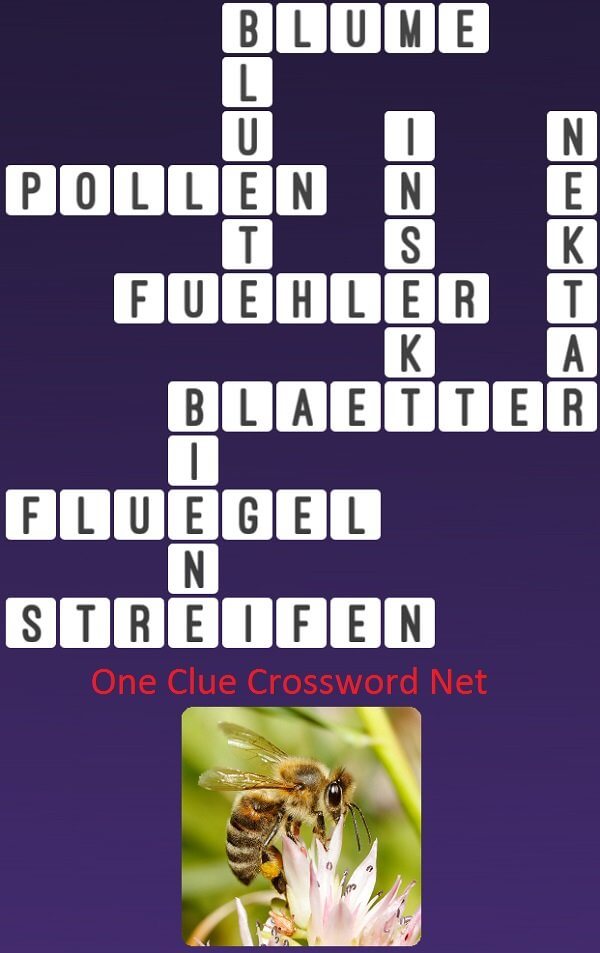 One Clue Crossword Biene Antworten