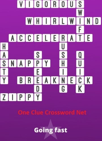 Going Fast Bonus Puzzle - Get Answers for One Clue Crossword Now