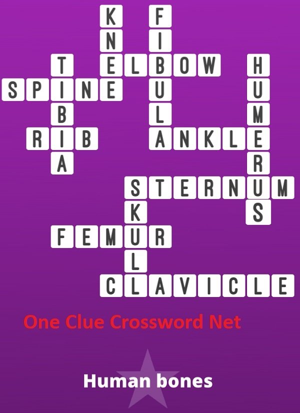 One Clue Crossword Bonus Puzzles Pikolhost