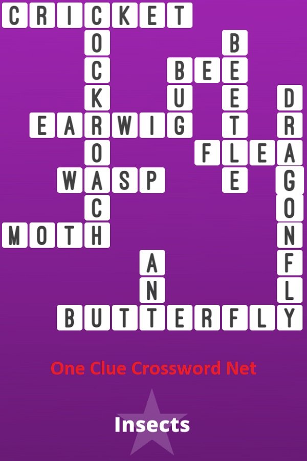 Icu hookup crossword clue