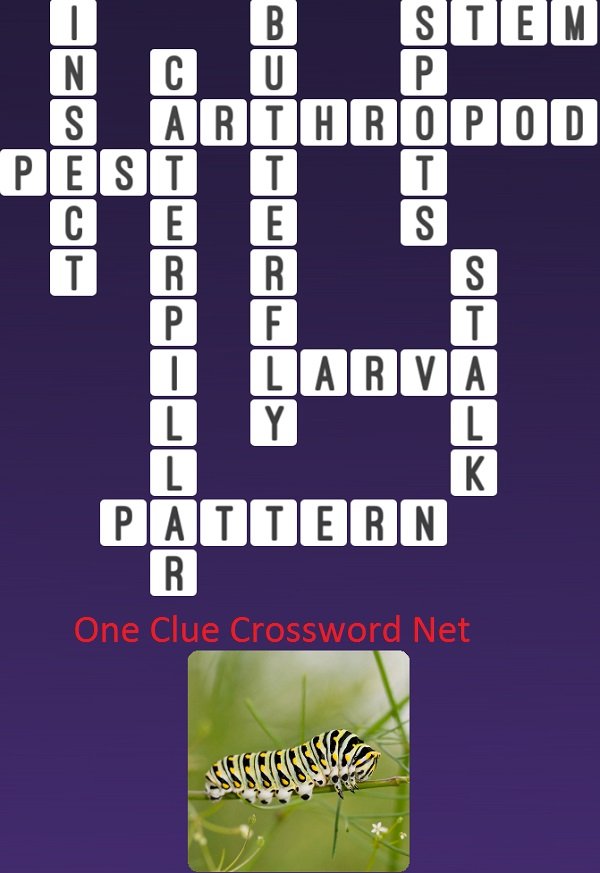 One Clue Crossword Caterpillar Answer