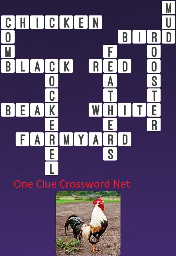 One Clue Crossword Chicken Cockerel Answer