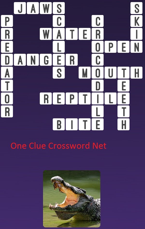 Crocodile One Clue Crossword