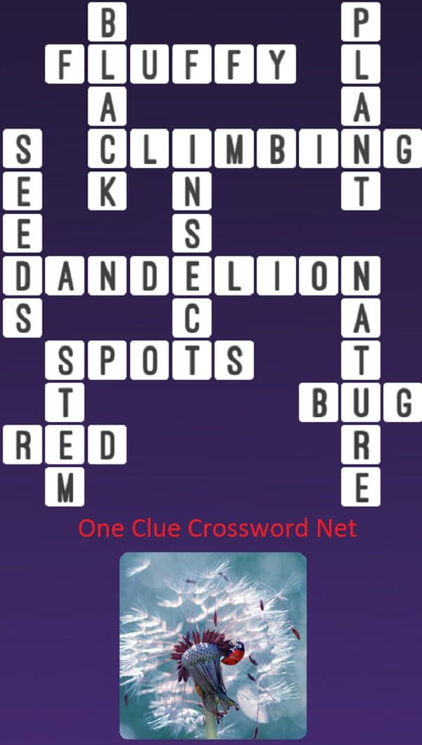Dandelion Get Answers for One Clue Crossword Now