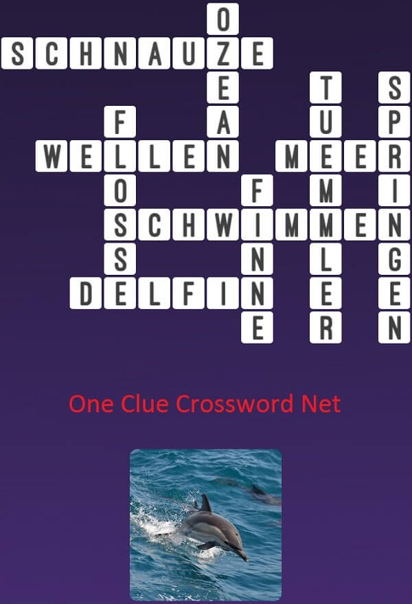 One Clue Crossword Delfin Antworten