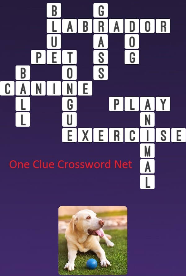 Dog - One Clue Crossword