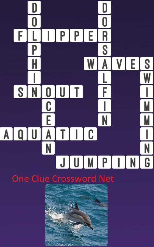 One Clue Crossword Dolphin Answer