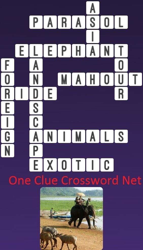 Elephant Ride Get Answers for One Clue Crossword Now