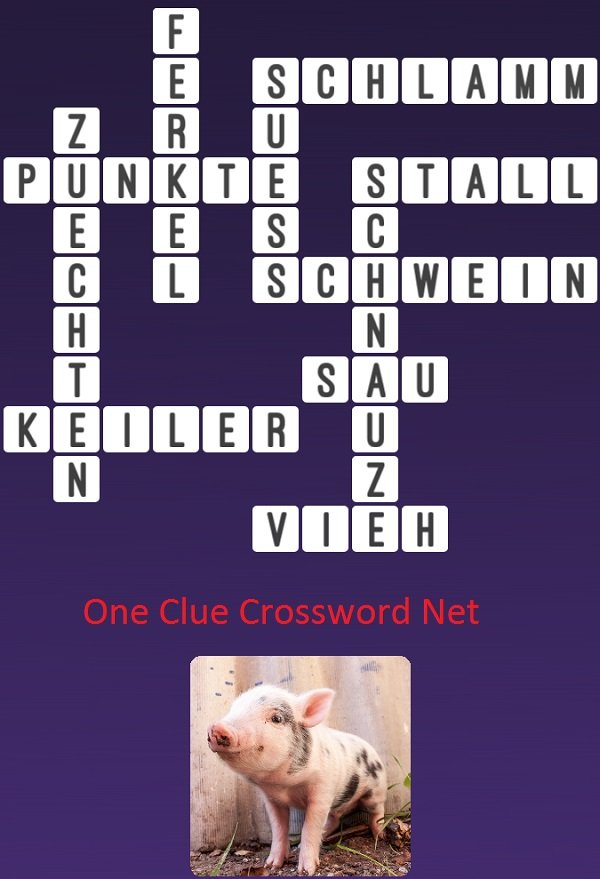One Clue Crossword Ferkel Antworten