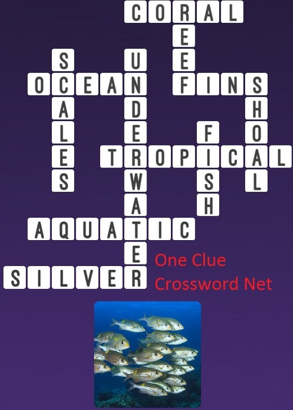 silvery freshwater fish crossword clue