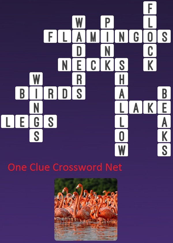Flamingo One Clue Crossword