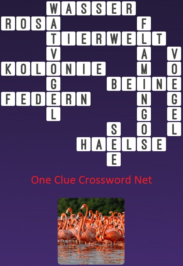 One Clue Crossword Flamingos Antworten