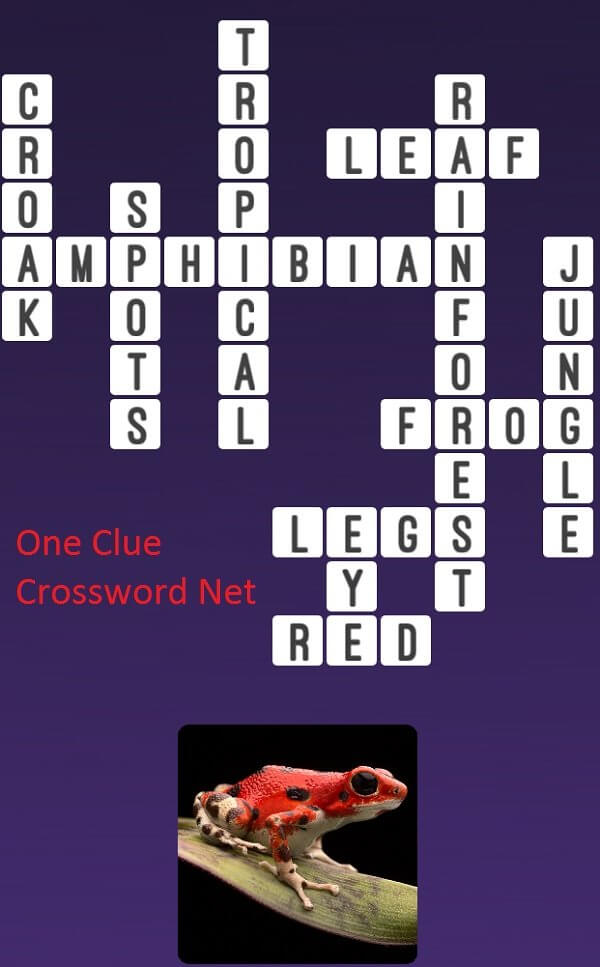 One Clue Crossword Frog Answer