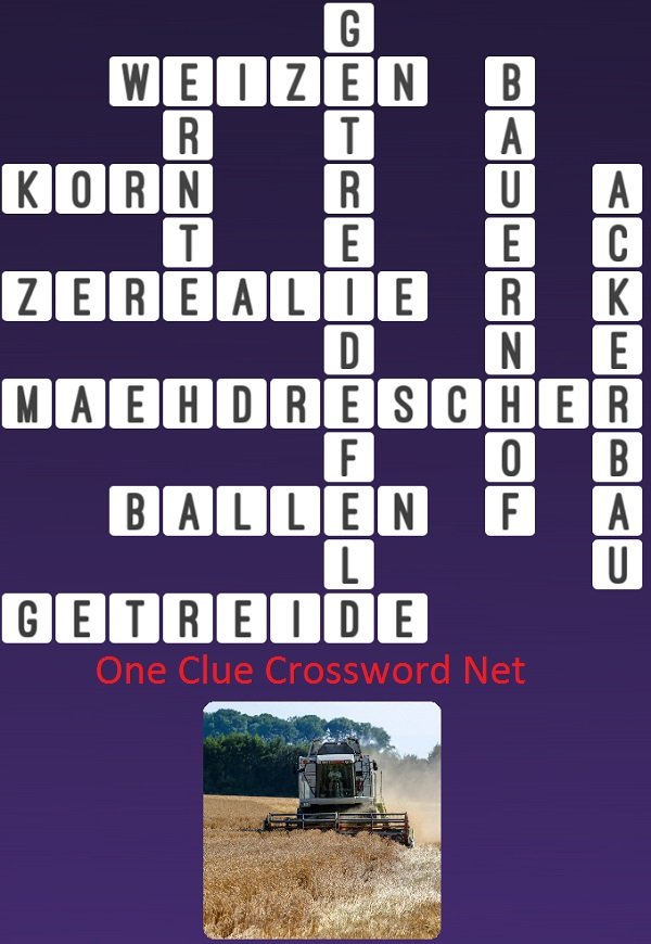 One Clue Crossword Getreidefeld Antworten