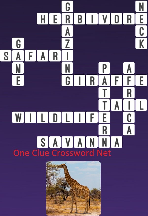 One Clue Crossword Giraffe Answer