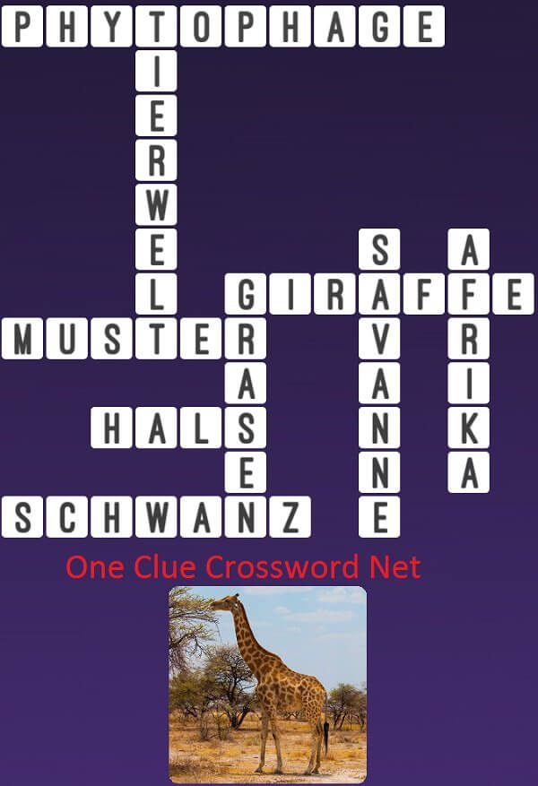 One Clue Crossword Giraffe Antworten