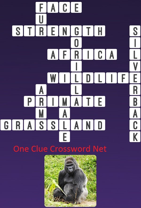 One Clue Crossword Gorilla Answer
