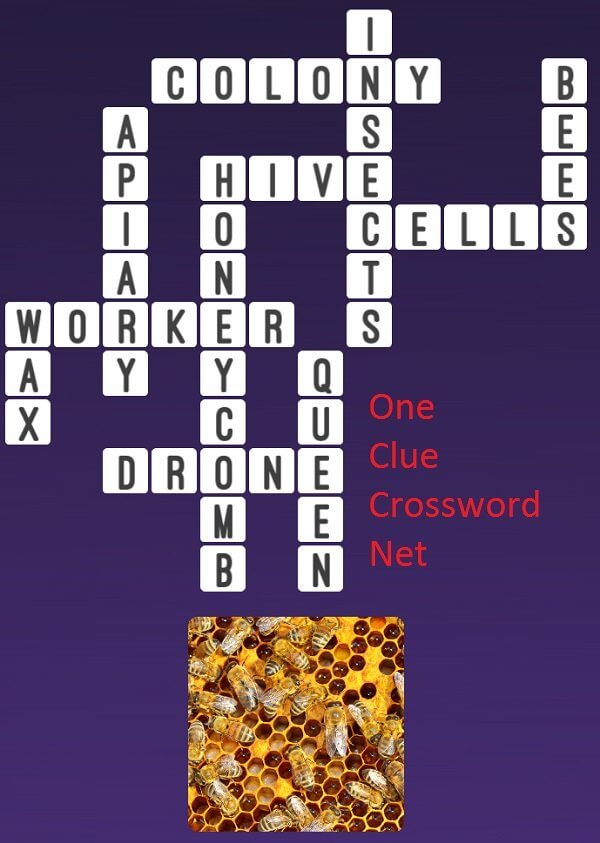 Honeycomb One Clue Crossword