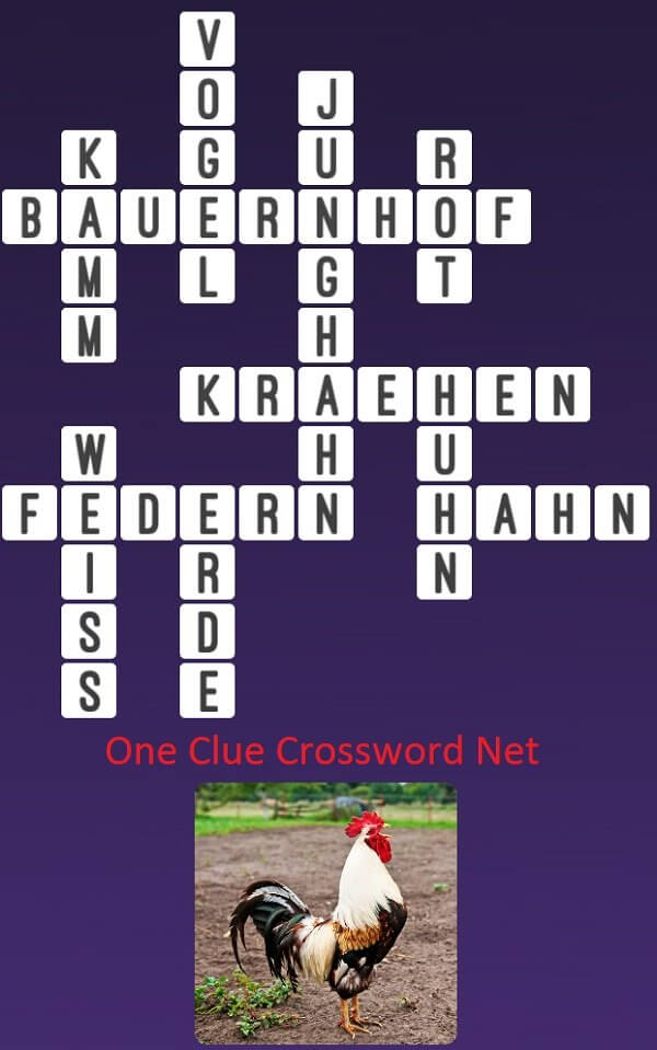 One Clue Crossword Huhn Antworten