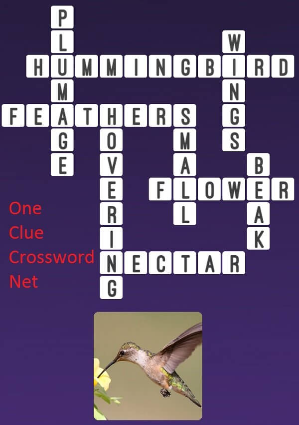 Hummingbird One Clue Crossword