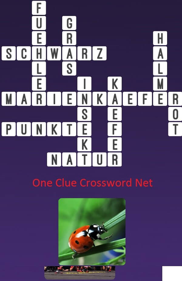 One Clue Crossword Kaefer Antworten
