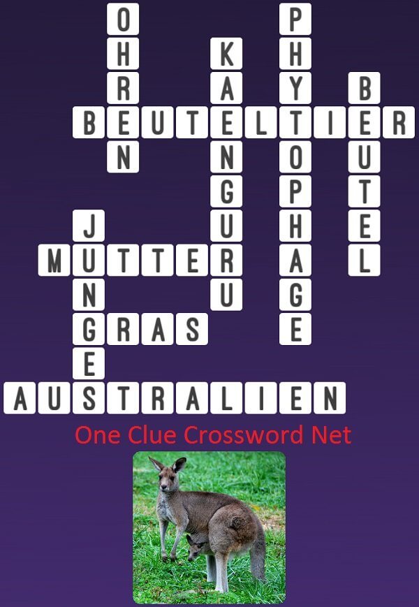 One Clue Crossword Kaenguru Antworten