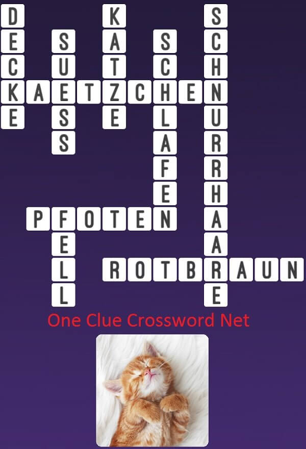 One Clue Crossword Katze Antworten