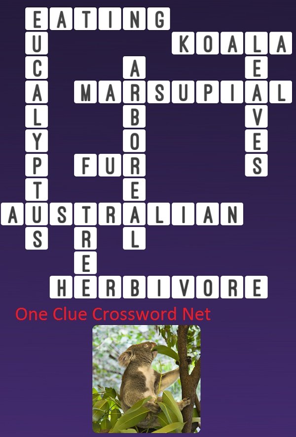 Koala One Clue Crossword
