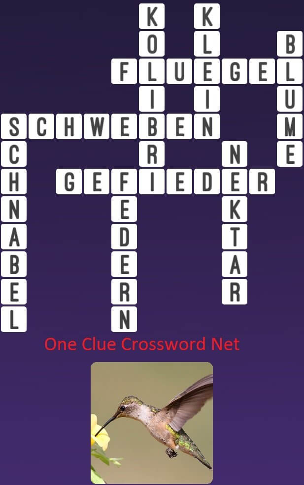 One Clue Crossword Kolibri Antworten