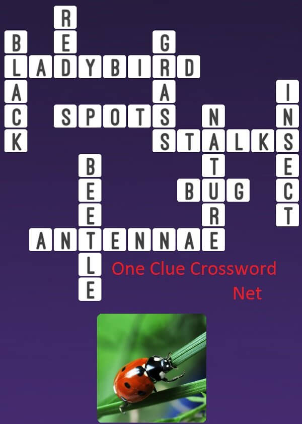 Ladybug One Clue Crossword