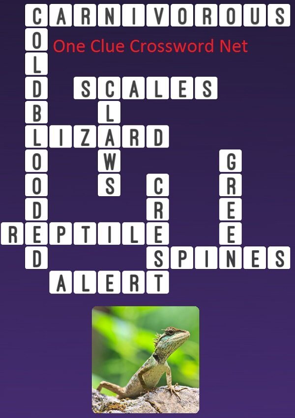 One Clue Crossword Lizard Answer