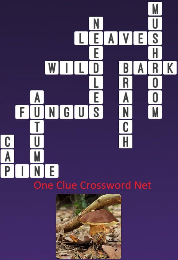 Mushroom One Clue Crossword