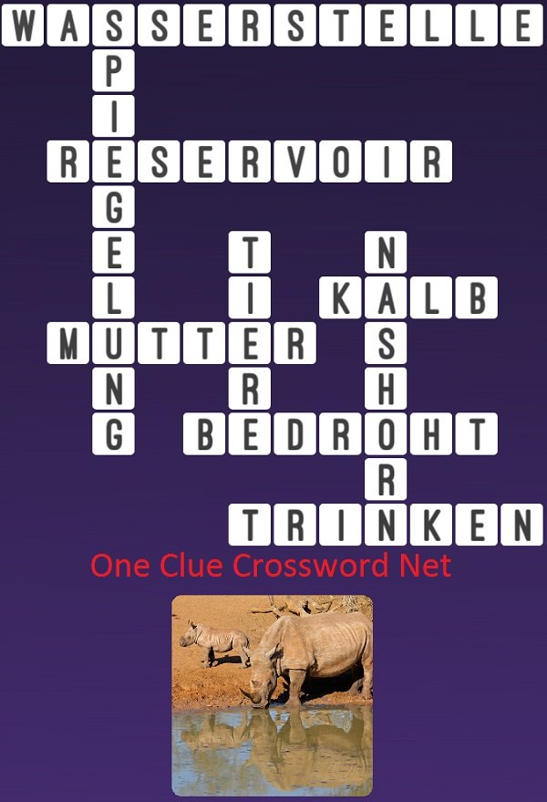 One Clue Crossword Nashorn Antworten