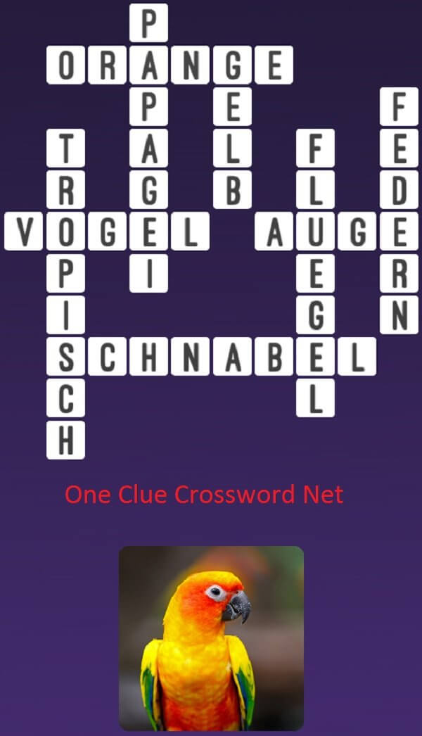 One Clue Crossword Papagei Antworten