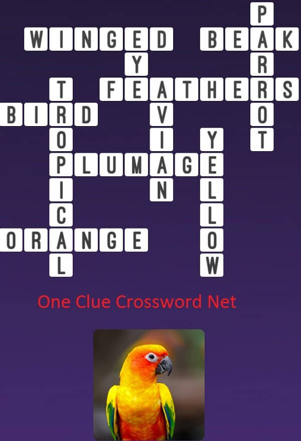 Parrot One Clue Crossword