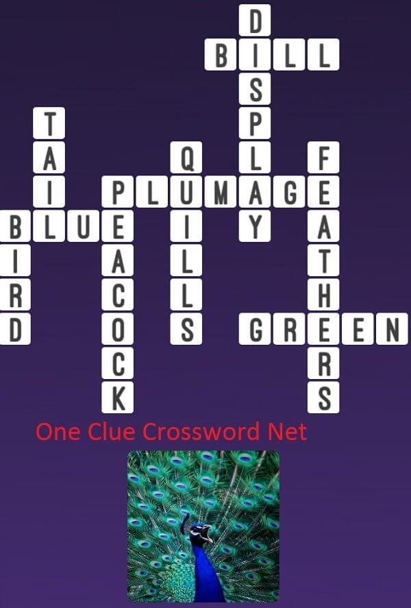 Peacock One Clue Crossword