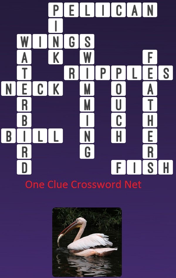 Pelican One Clue Crossword
