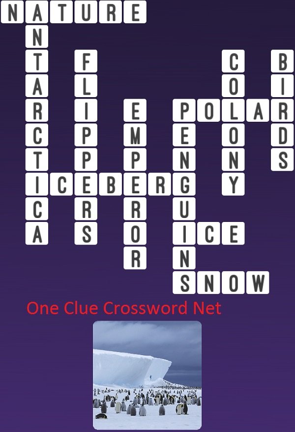 Penguins One Clue Crossword