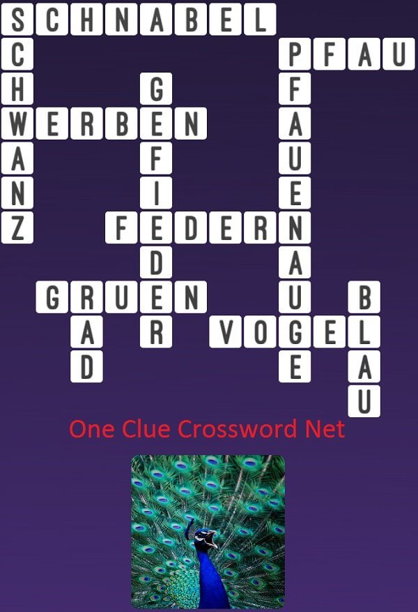 One Clue Crossword Pfau Antworten
