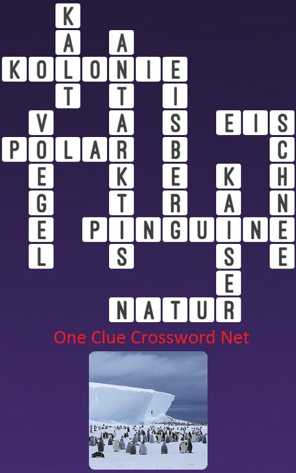 One Clue Crossword Pinguine Antworten