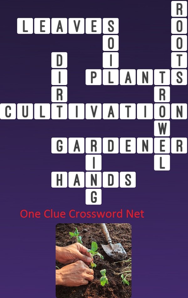 One Clue Crossword Plants Answer