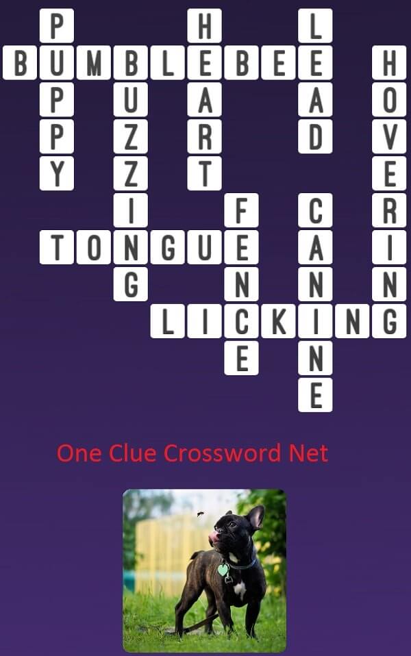 One Clue Crossword Puppy  Answer
