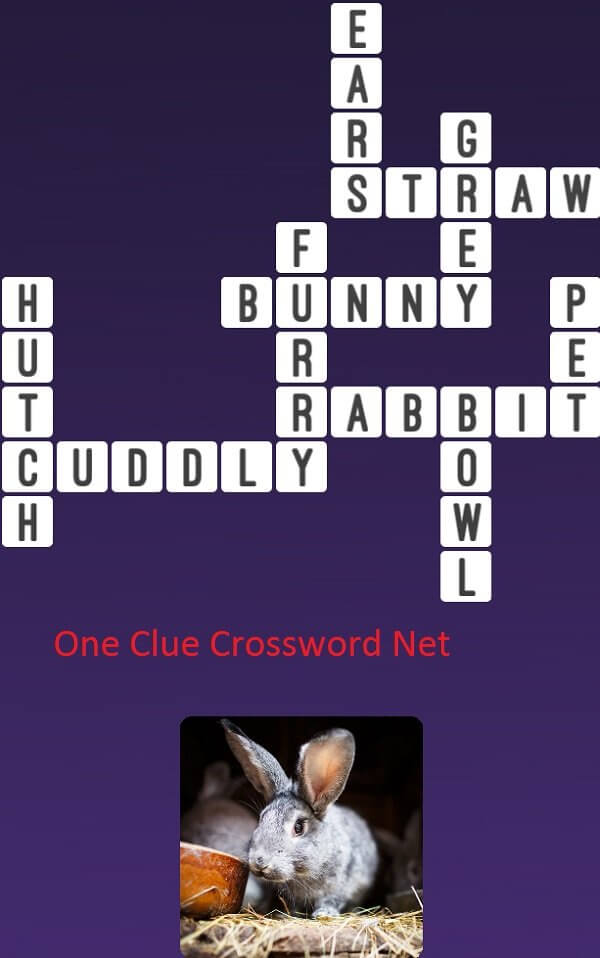 Rabbit Get Answers for One Clue Crossword Now